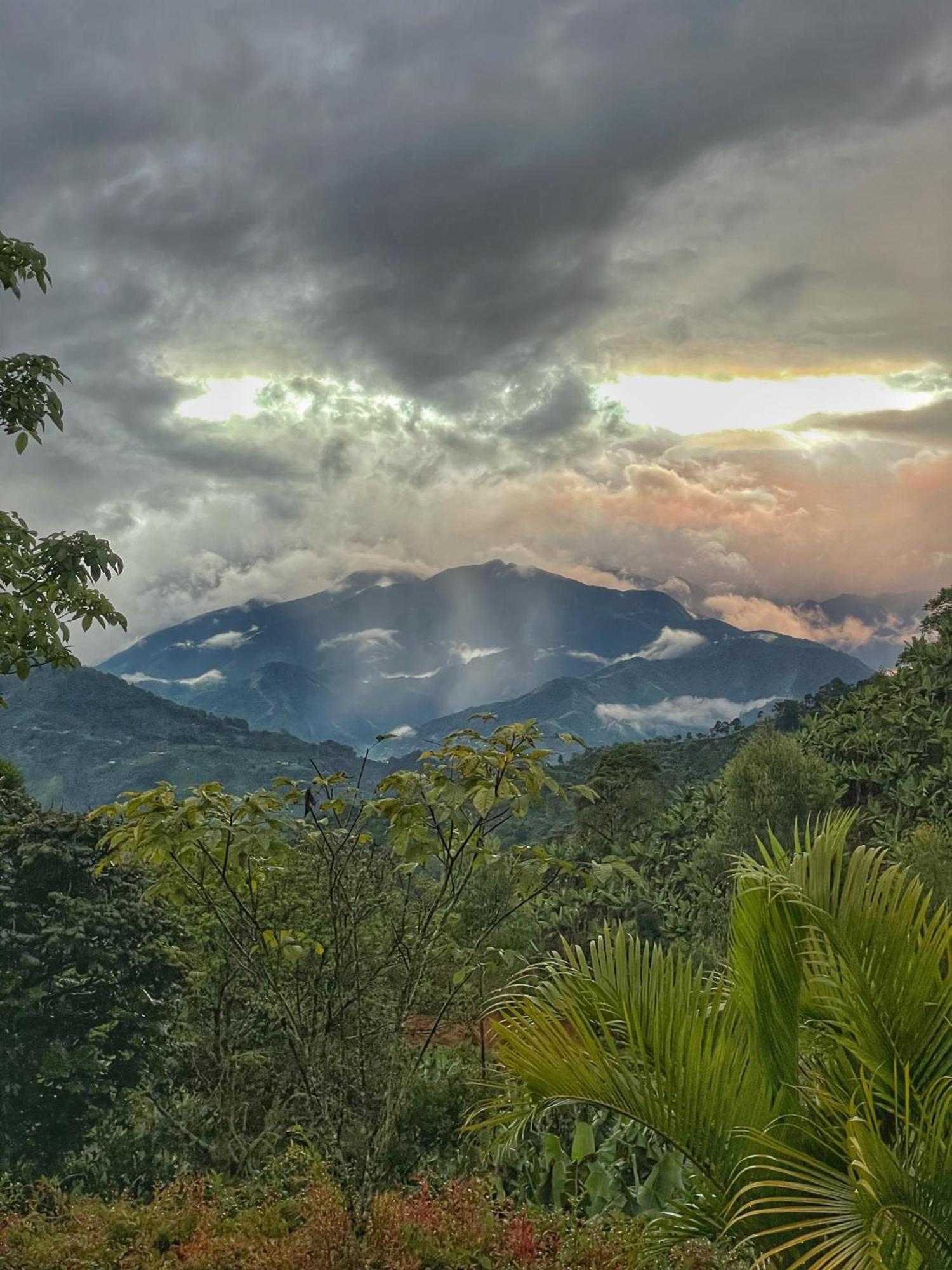 Gulupa Ecolodge Jardin Ngoại thất bức ảnh